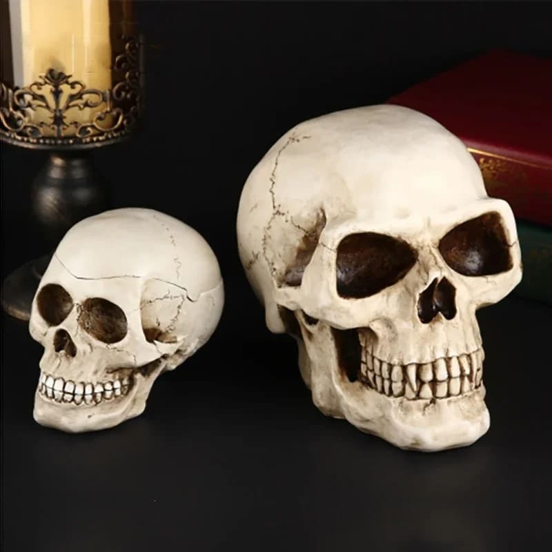 CZASZKA SKARBONKA - Tirelire