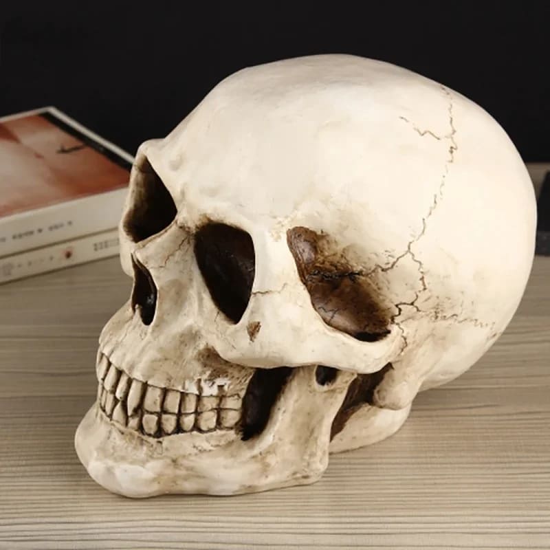 CZASZKA SKARBONKA - Tirelire