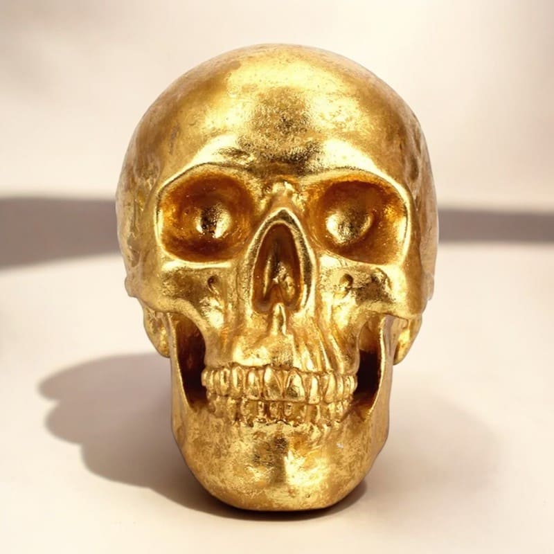 SKARBONKA CZASZKA | ALEKSANDER - Tirelire