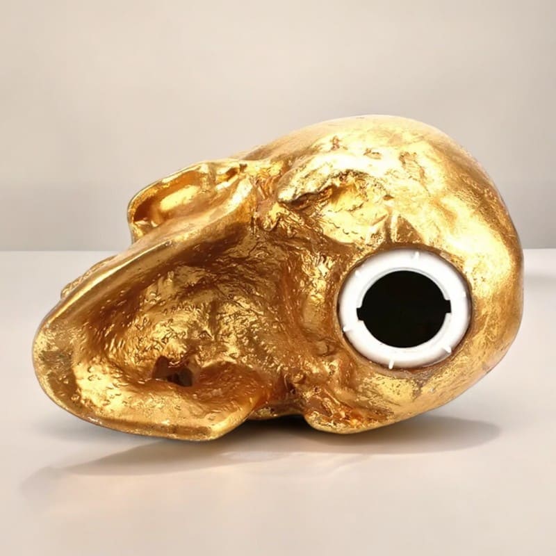 SKARBONKA CZASZKA | ALEKSANDER - Tirelire