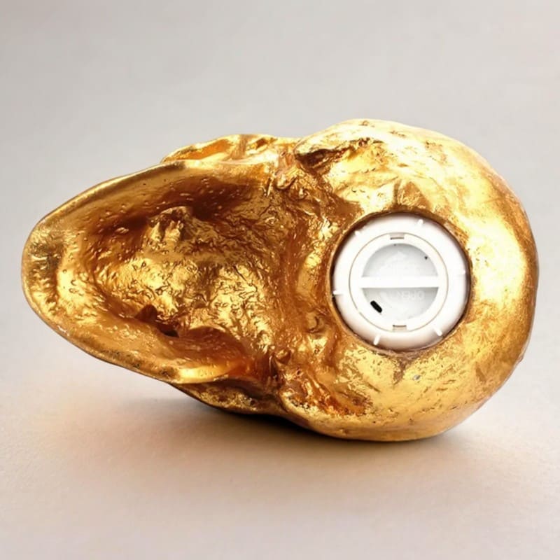 SKARBONKA CZASZKA | ALEKSANDER - Tirelire