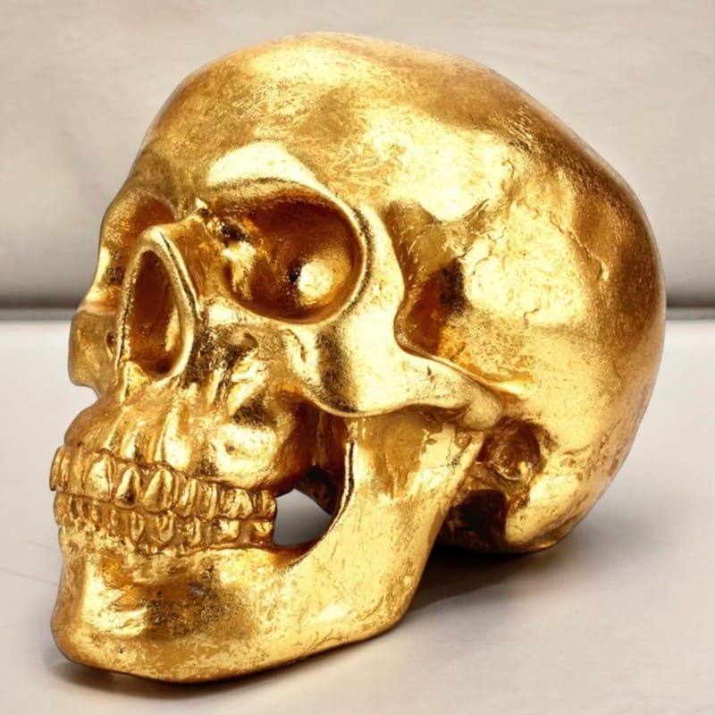 SKARBONKA CZASZKA | ALEKSANDER - Tirelire