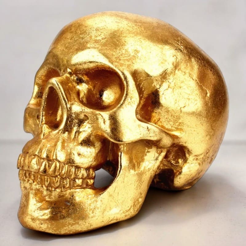 SKARBONKA CZASZKA | ALEKSANDER - Tirelire