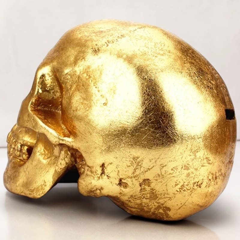 SKARBONKA CZASZKA | ALEKSANDER - Tirelire