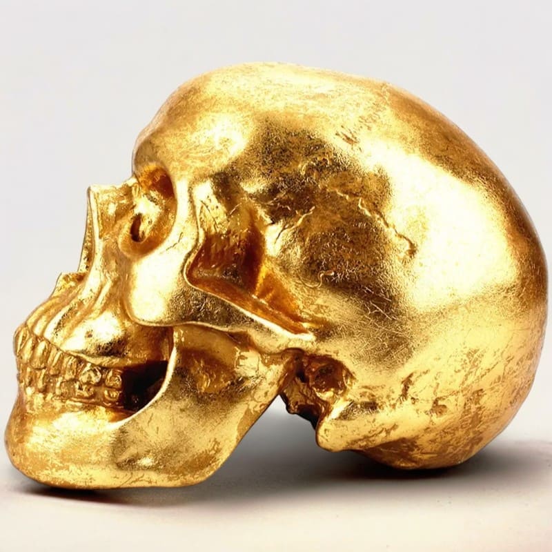 SKARBONKA CZASZKA | ALEKSANDER - Tirelire